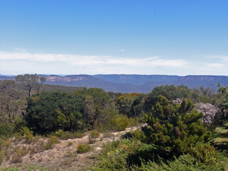 Wentworth Falls NSW 2782