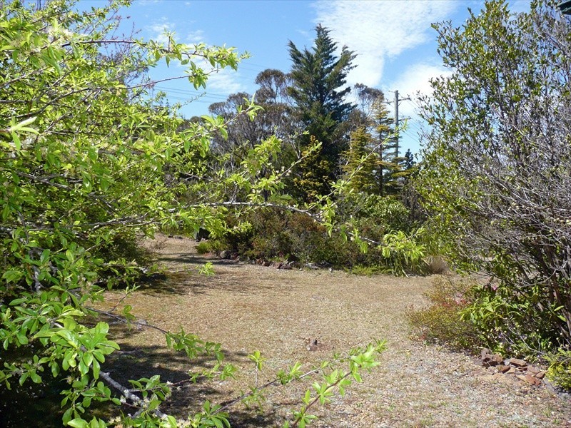 Wentworth Falls NSW 2782