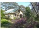 Wentworth Falls NSW 2782