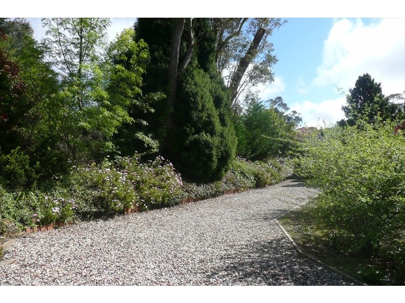 Wentworth Falls NSW 2782