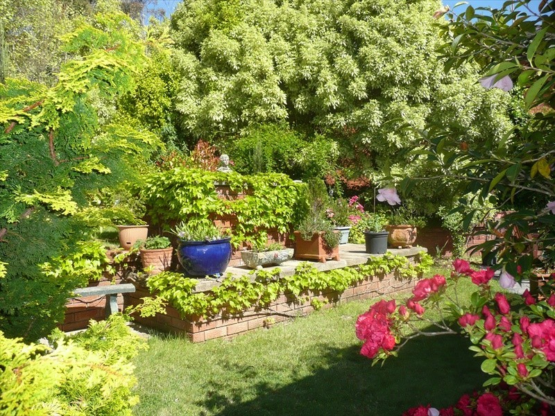 Wentworth Falls NSW 2782