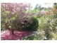 Wentworth Falls NSW 2782