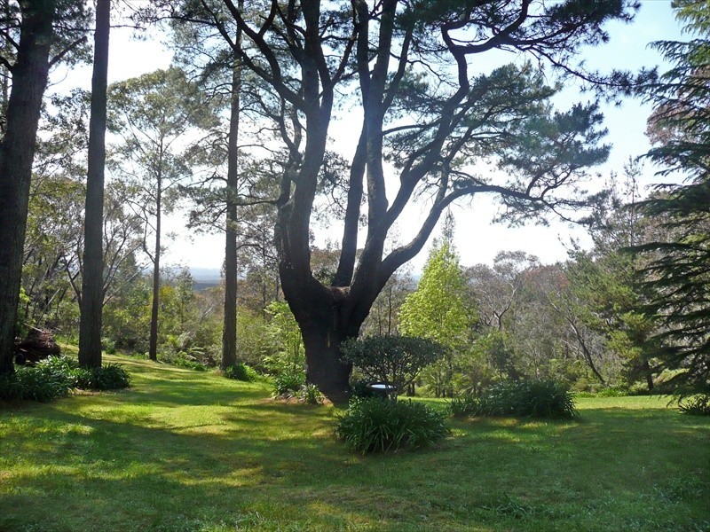 Wentworth Falls NSW 2782