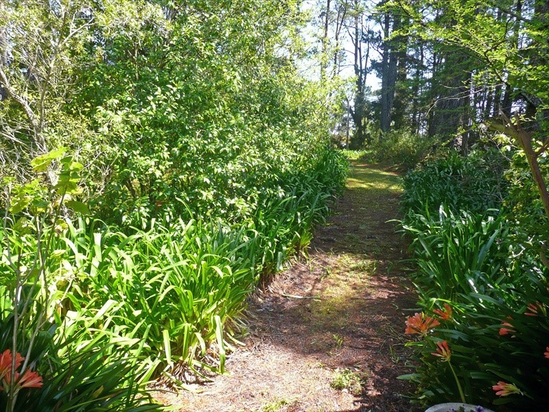 Wentworth Falls NSW 2782