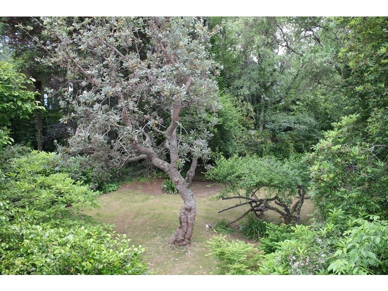 Wentworth Falls NSW 2782