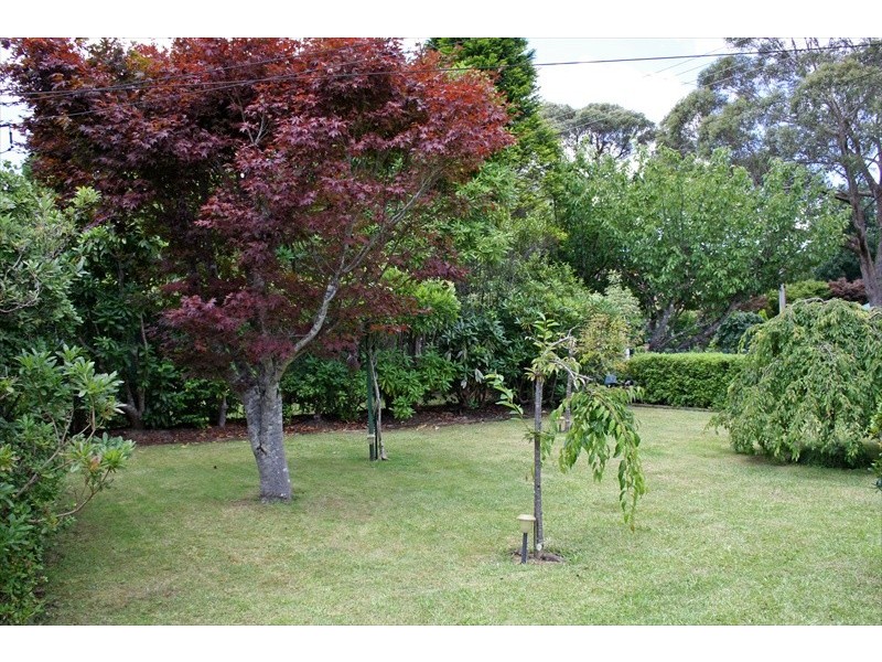 Wentworth Falls NSW 2782