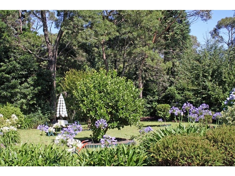 Wentworth Falls NSW 2782