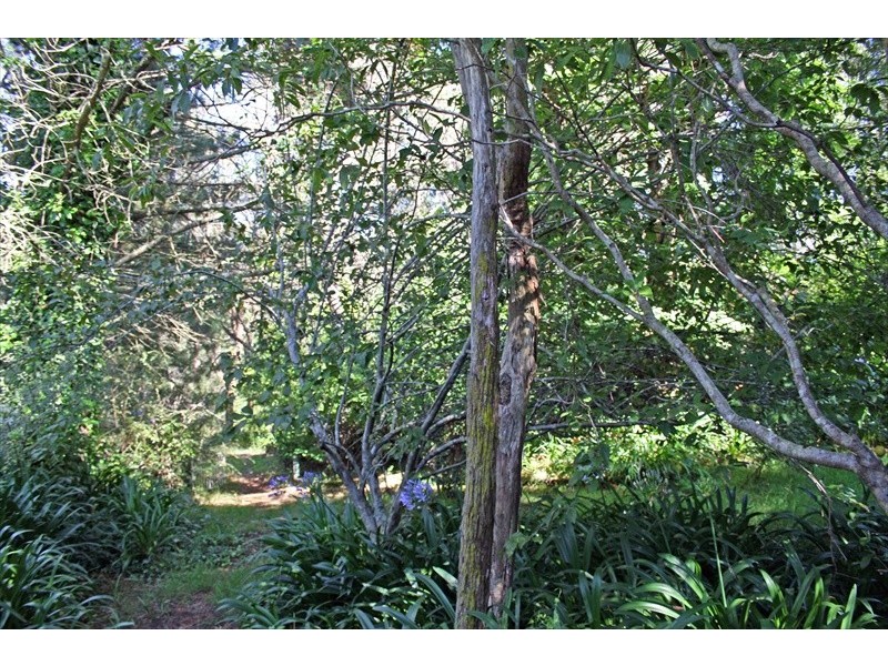 Wentworth Falls NSW 2782