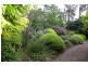 Wentworth Falls NSW 2782