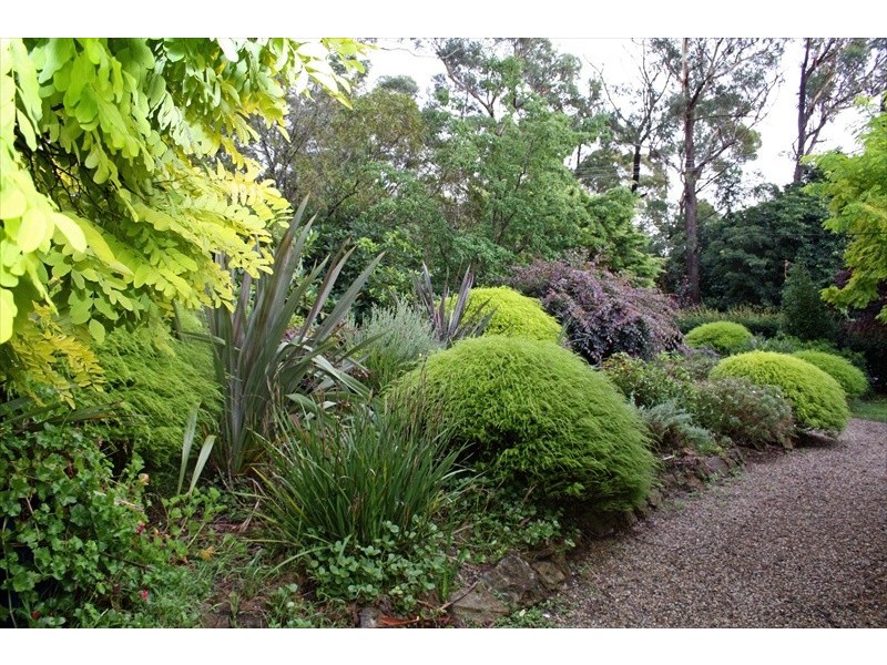 Wentworth Falls NSW 2782