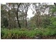 Wentworth Falls NSW 2782