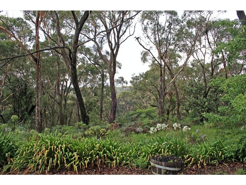 Wentworth Falls NSW 2782