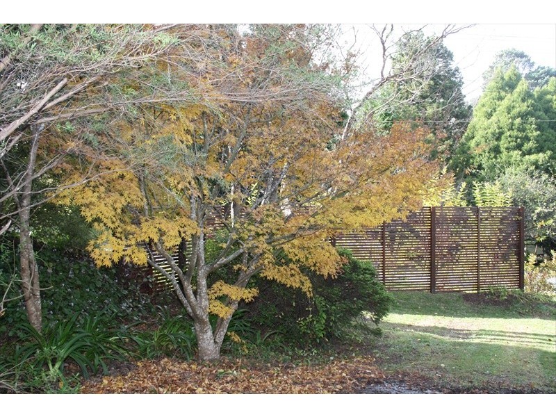 Wentworth Falls NSW 2782