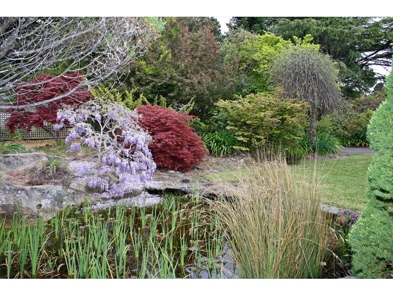 Wentworth Falls NSW 2782