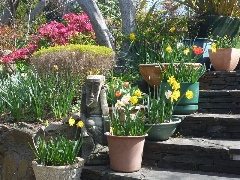 Wentworth Falls NSW 2782