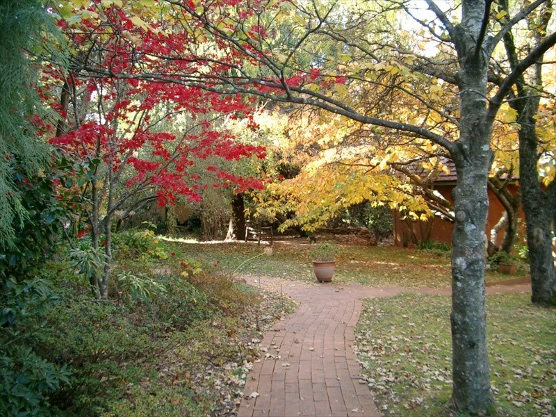 Wentworth Falls NSW 2782