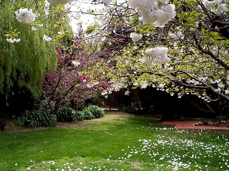 Wentworth Falls NSW 2782