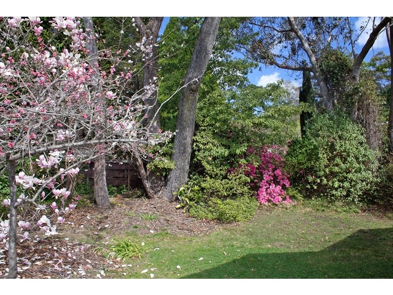 Wentworth Falls NSW 2782