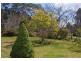 Wentworth Falls NSW 2782