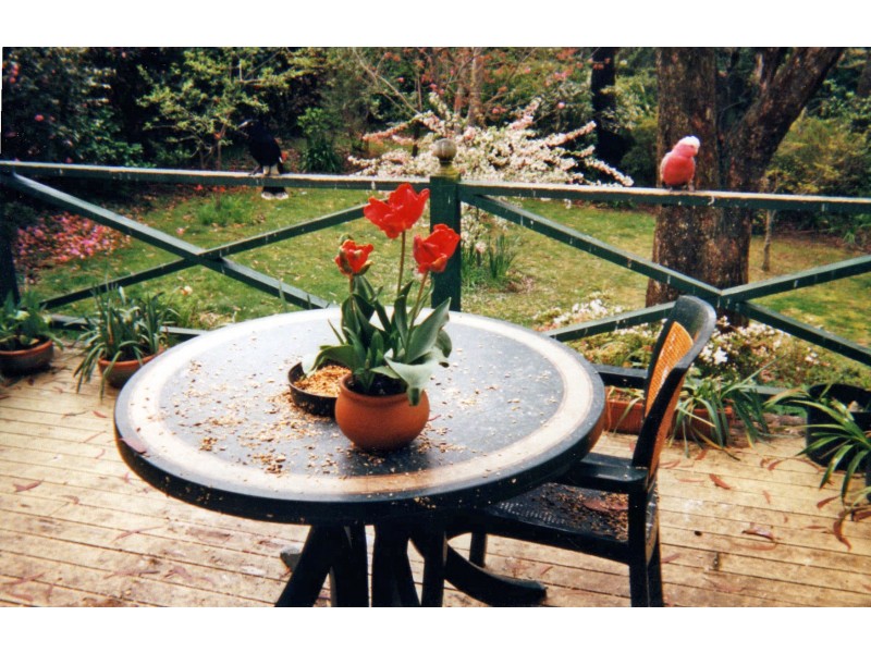 Wentworth Falls NSW 2782