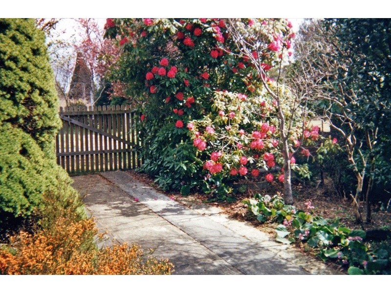 Wentworth Falls NSW 2782