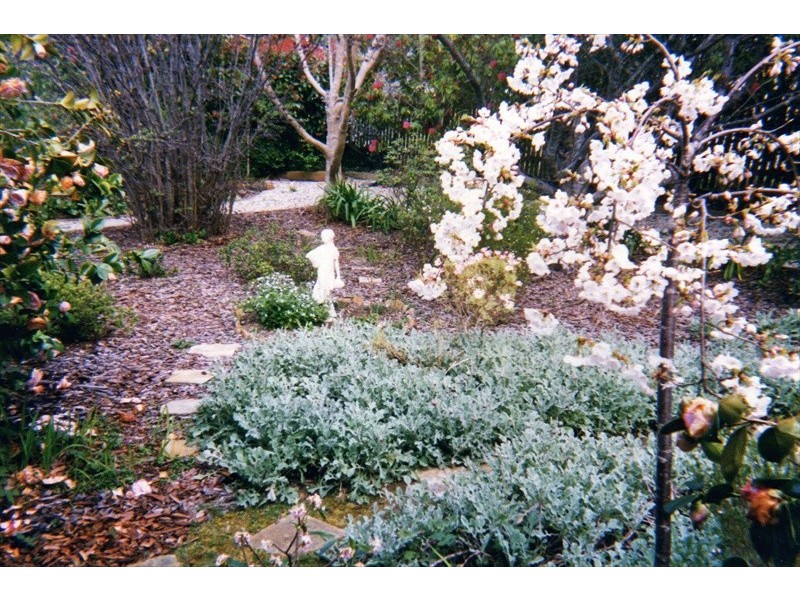 Wentworth Falls NSW 2782