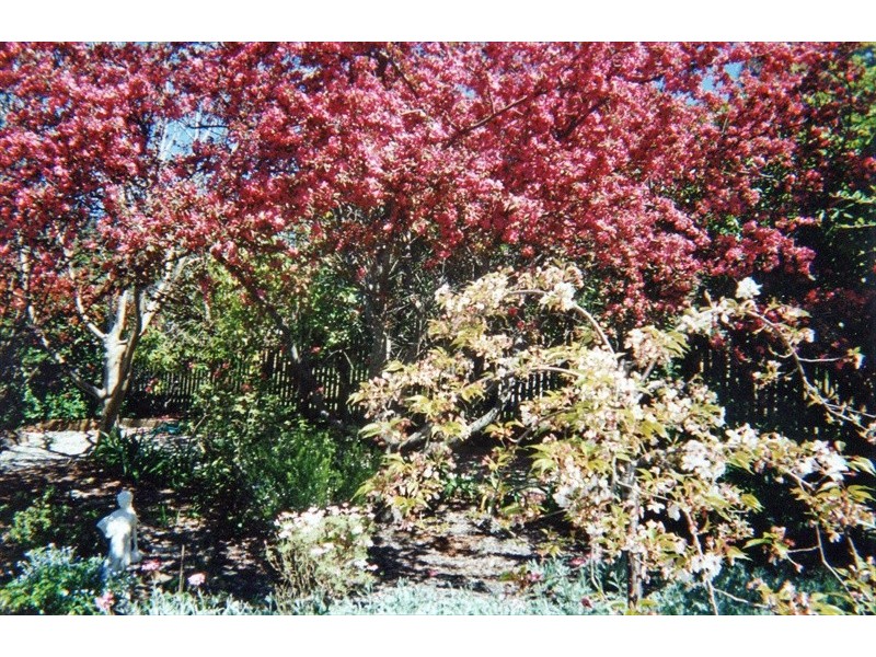 Wentworth Falls NSW 2782