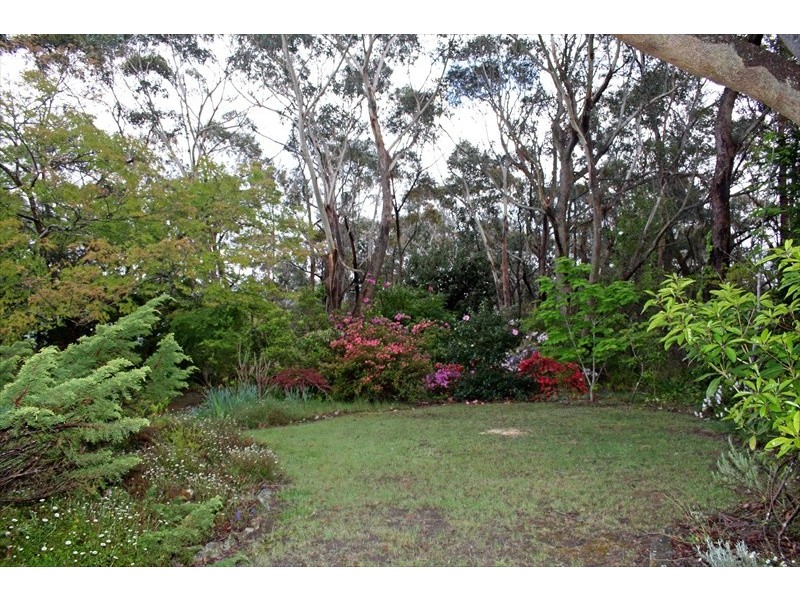 155 Henderson Road, Wentworth Falls NSW 2782