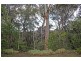 155 Henderson Road, Wentworth Falls NSW 2782