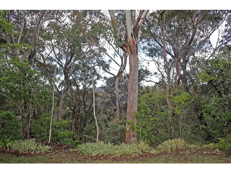 155 Henderson Road, Wentworth Falls NSW 2782