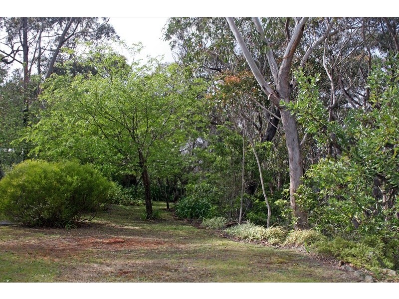 155 Henderson Road, Wentworth Falls NSW 2782