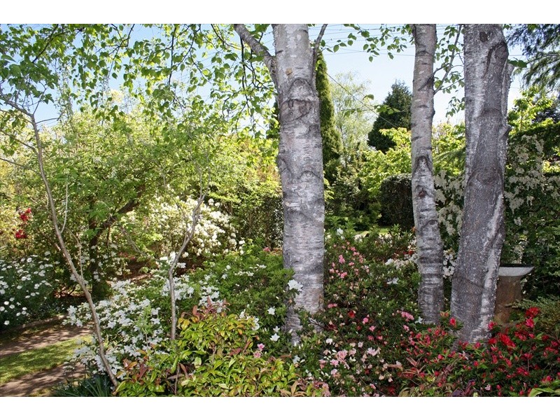 Wentworth Falls NSW 2782