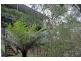 Bullaburra NSW 2784