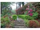 Wentworth Falls NSW 2782