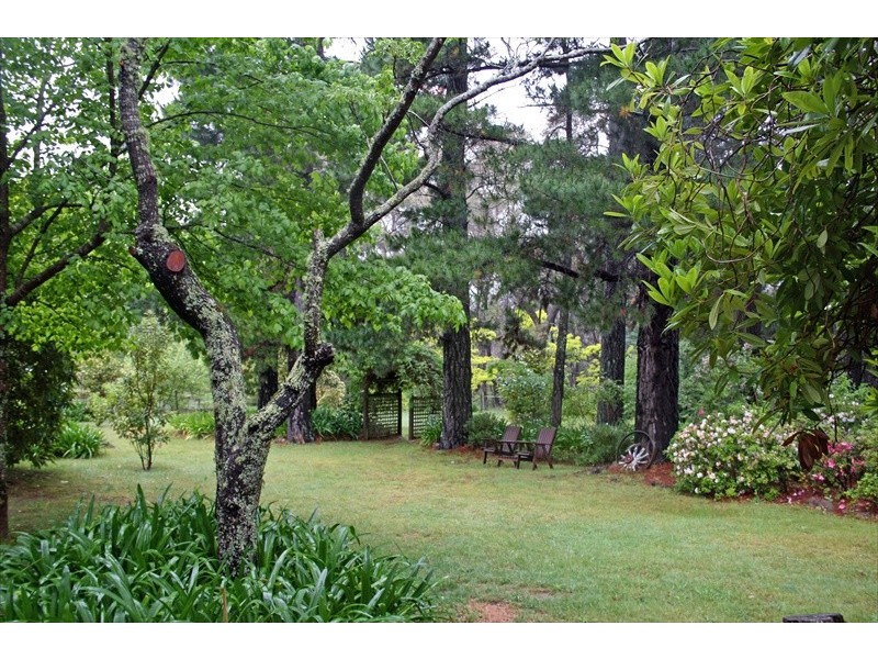 Wentworth Falls NSW 2782