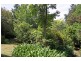 Wentworth Falls NSW 2782