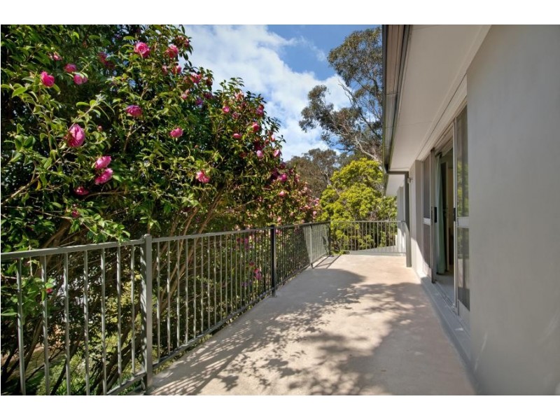 23 Jamieson Street, Wentworth Falls NSW 2782