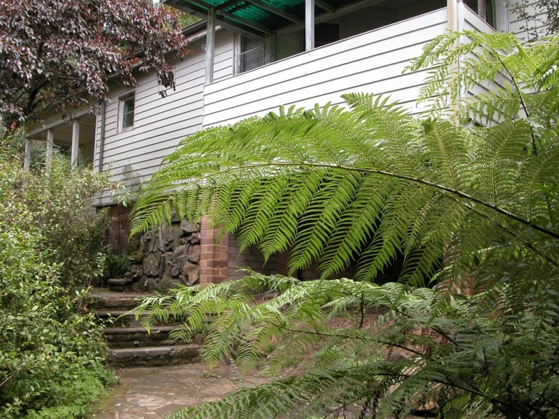 120 Great Western Highway, Wentworth Falls NSW 2782