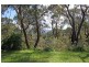 Katoomba NSW 2780