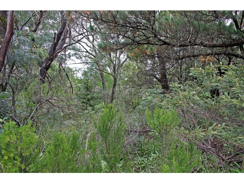 Wentworth Falls NSW 2782