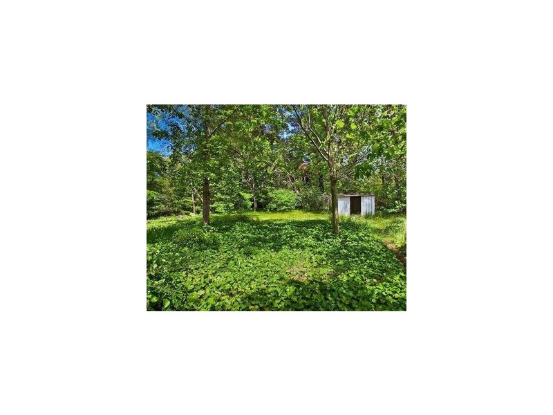 Wentworth Falls NSW 2782