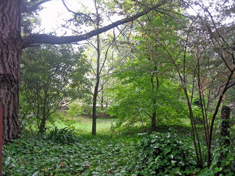 Wentworth Falls NSW 2782