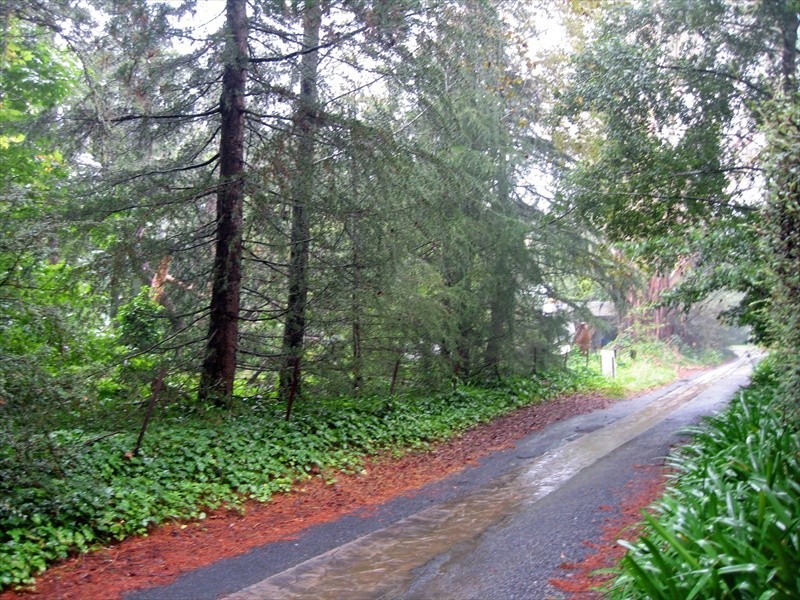 Wentworth Falls NSW 2782