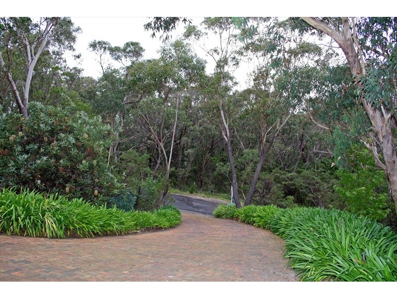 Wentworth Falls NSW 2782