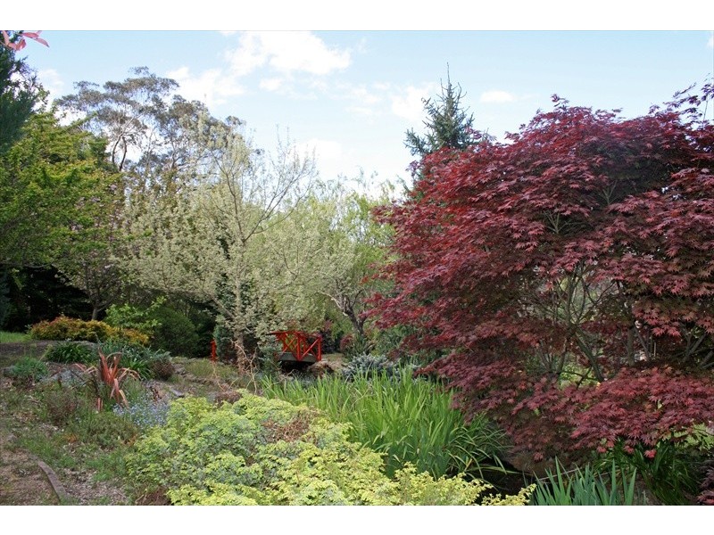 1-9 McLaughlin Avenue, Wentworth Falls NSW 2782