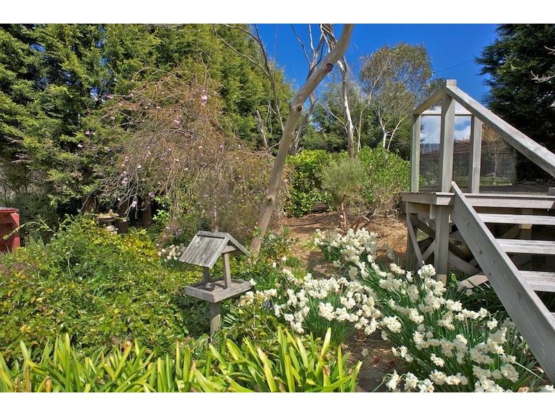 Wentworth Falls NSW 2782