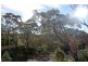 Wentworth Falls NSW 2782