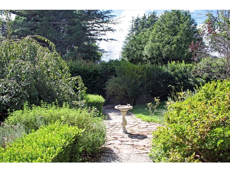 50 Backhouse Street, Wentworth Falls NSW 2782