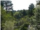 Wentworth Falls NSW 2782