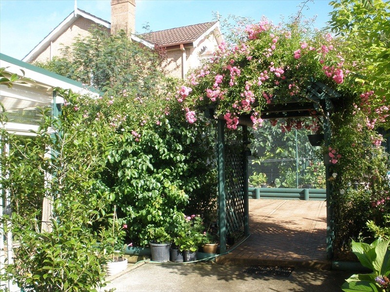 Wentworth Falls NSW 2782